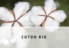 Fleur de coton bio